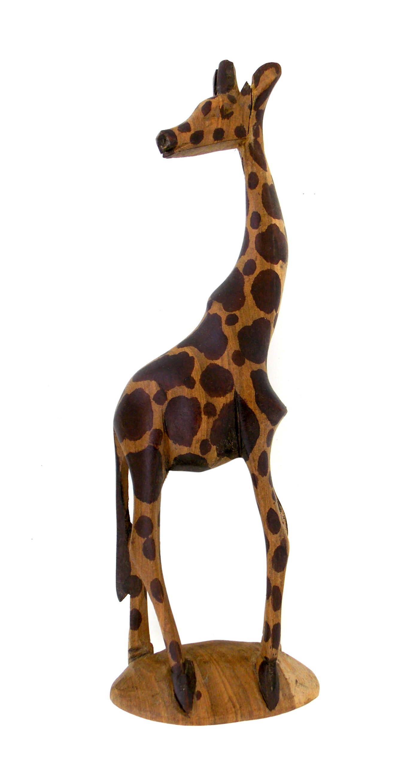 Giraffe-1-scaled-1.jpg