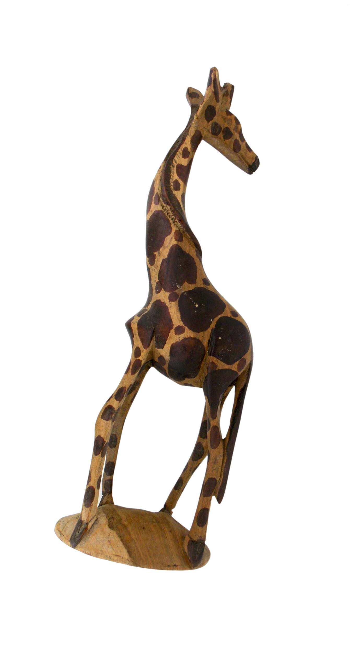 Giraffe-2-scaled-1.jpg