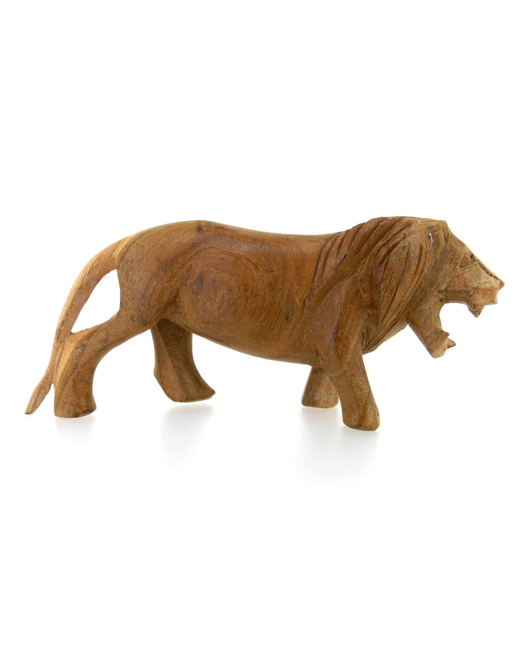 Lion-1-scaled-1.jpg