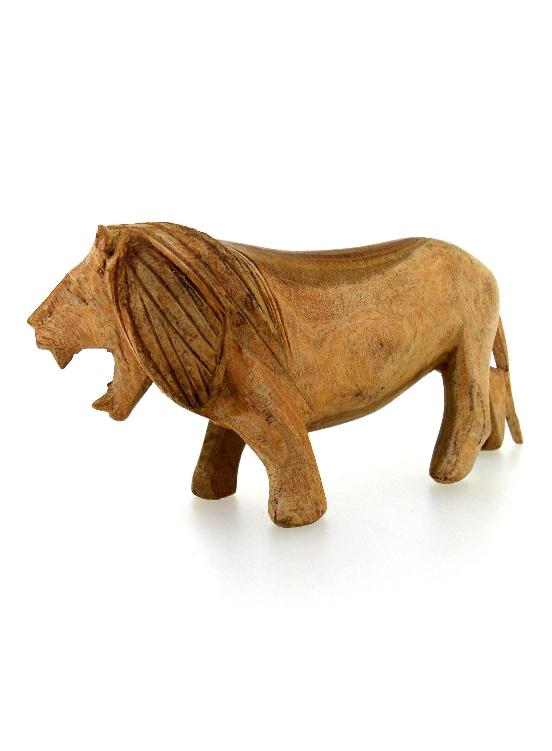 Lion-3-scaled-1.jpg